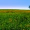 Colorful prairie