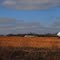Dempsay Farm Airport--Rantoul, KS