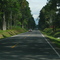 CARRETERA SARAPIQUI