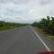 Carretera nueva entre bananales, Ticabán 2010