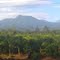 Volcan Cacho Negro vista desde Horquetas