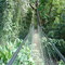 Footbridge at Villa Lapas