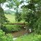 Riachuelo en Finca de Bijagual