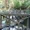 Bridge is out