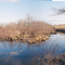 Raven Brook, Halifax