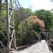 Puente de Hamaca, límite entre Orotina y Turrubares