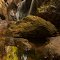 The river