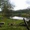 Charco de agua que le da origen a Caño Negro