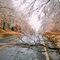 Ice Storm