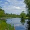 Cedar River