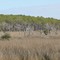 Bayou Heron Boat Launch