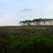 Grand Bay NWR