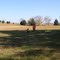 Field Archaeology