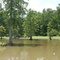 Leroy Percy State Park
