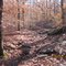 Dry Rocky Stream Bed