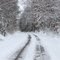 Snow Storm 1/10/11