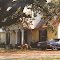 4 cool & unique things in this photo tree, house, dog, car) Rienzi Mississippi (8-14-1996) scanned 35mm
