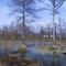 Inverness, Mississippi, summer 2000 CE