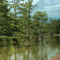 A Bayou in Inverness