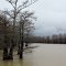 Roebuck Lake