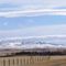 View of the Bears Paw Mountains from Havre