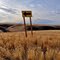 Unseasonably Warm Thanksgiving Day near Havre, MT
