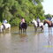 CABALGATA POR EL DULCE