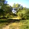 El sausal