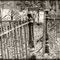 Old Cook road cemetery