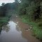 Muddy river - 199507LJW