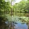 Pine Bluff Lake, south end