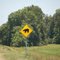 Bear Crossing on U.S 61 at Onward, Mississippi