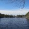 Jackson Road Pond