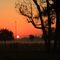 Sun Rise