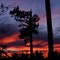 Beautiful Sunset