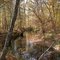 Beautiful creek in central Mississippi