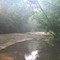 Rope Swing
