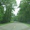 Natchez Trace Parkway