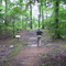 Natchez Trace; the unpaved one