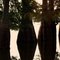 Dancing Trees
