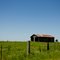 Simply - Barn in Pasture