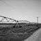 Laid Off - Irrigation on Gravel Road