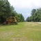 Dozer In The Pines