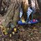 Fairy Trail Attraction - Lily Dale