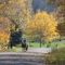 Crestview Drive