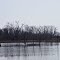 Pickerington Ponds