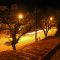 Noche y otoño