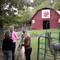 Walnut Ridge Llama Farm and Store on www.QuiltTrail.org