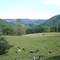 Horse Creek Park Rd