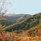 Round Knob, Tennessee